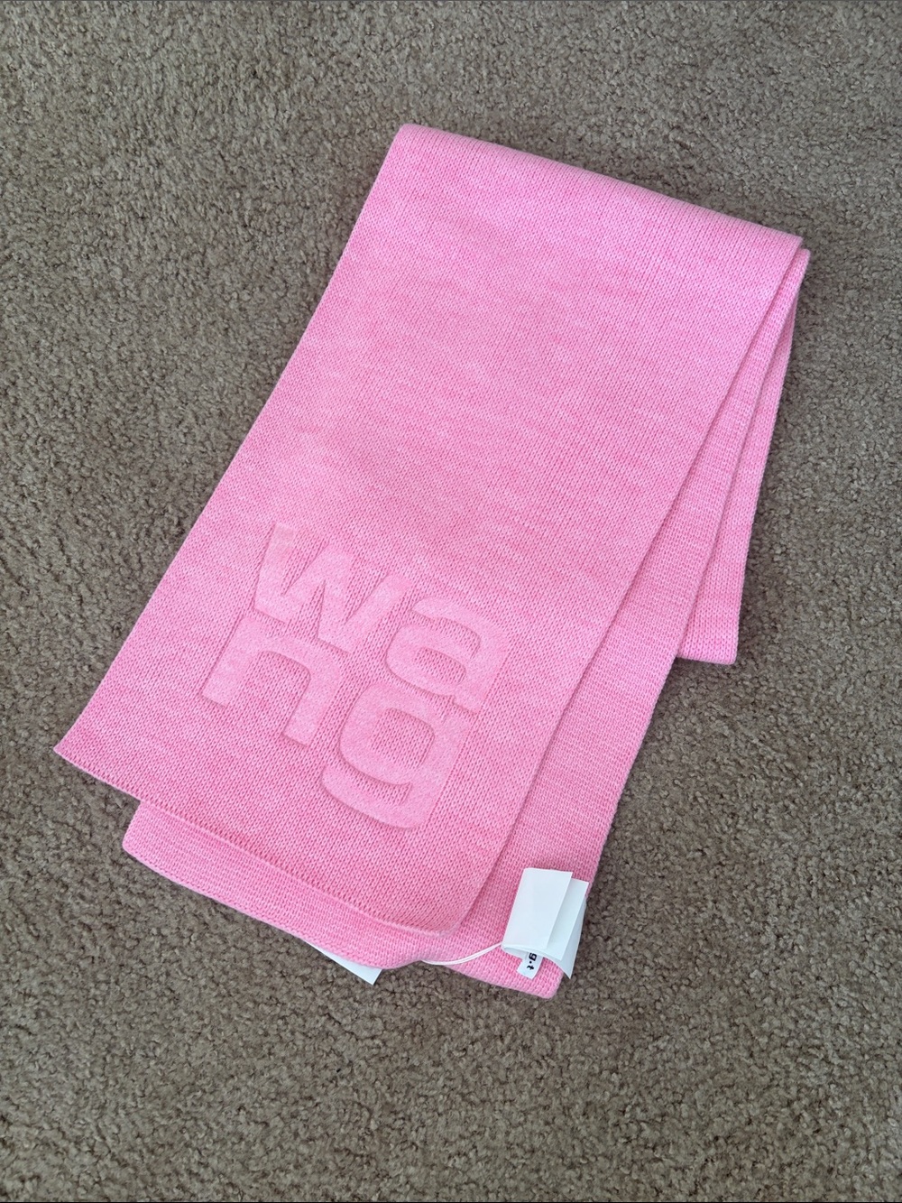 Alexander Wang Scarf